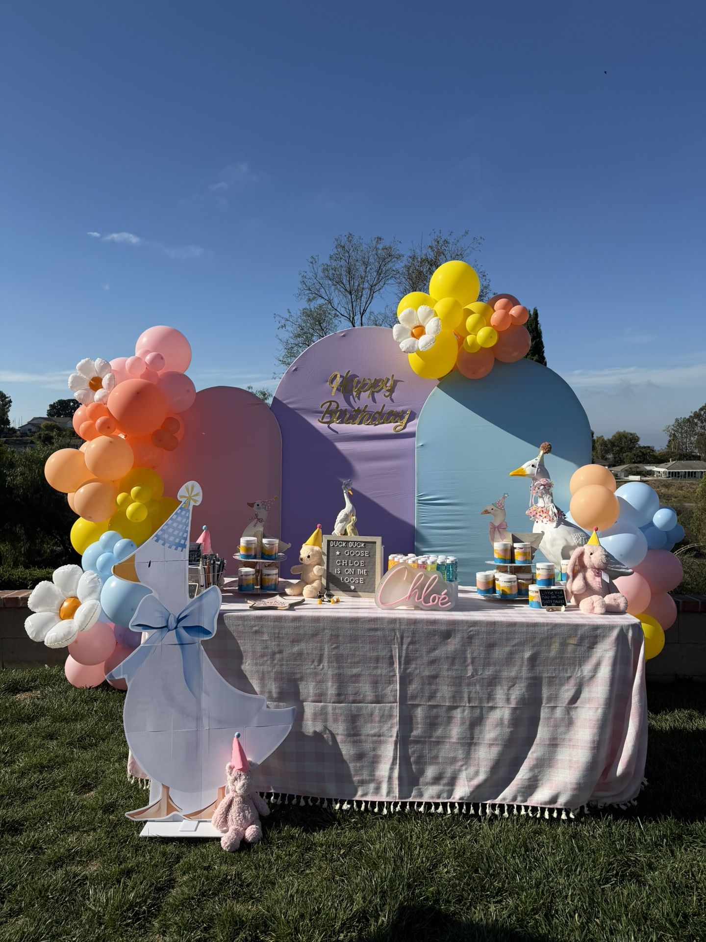 balloon garland, balloon arch