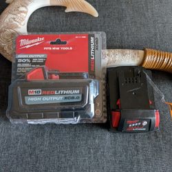 Milwaukee Batteries 