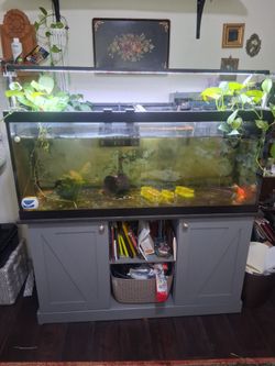 75 Gallon Goldfish Tank w/accessories, Filter, Lights
