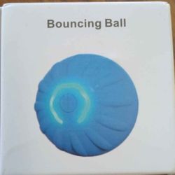 Pet Bouncing Ball 