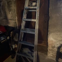 Aluminum Ladder 🪜 