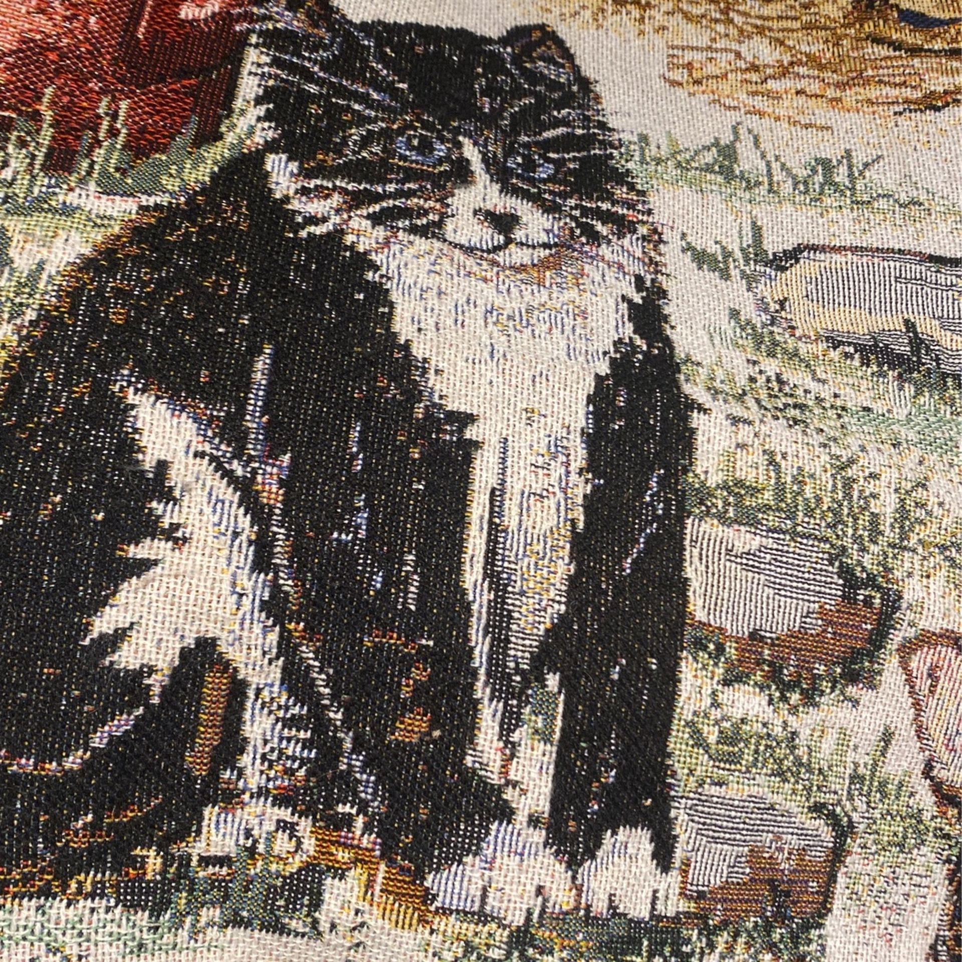 For Cat Lover In Mint Condition