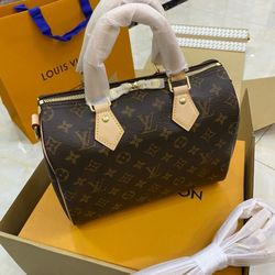 Louis Vuitton Monogram Speedy 30 Bag 