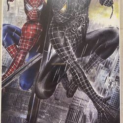 Spider-Man Poster For Framing