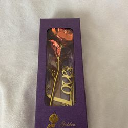 Eternal Rose