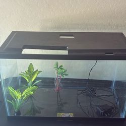Fish Tank