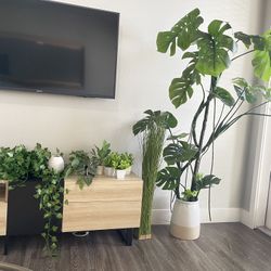 Various Faux Plants Decor