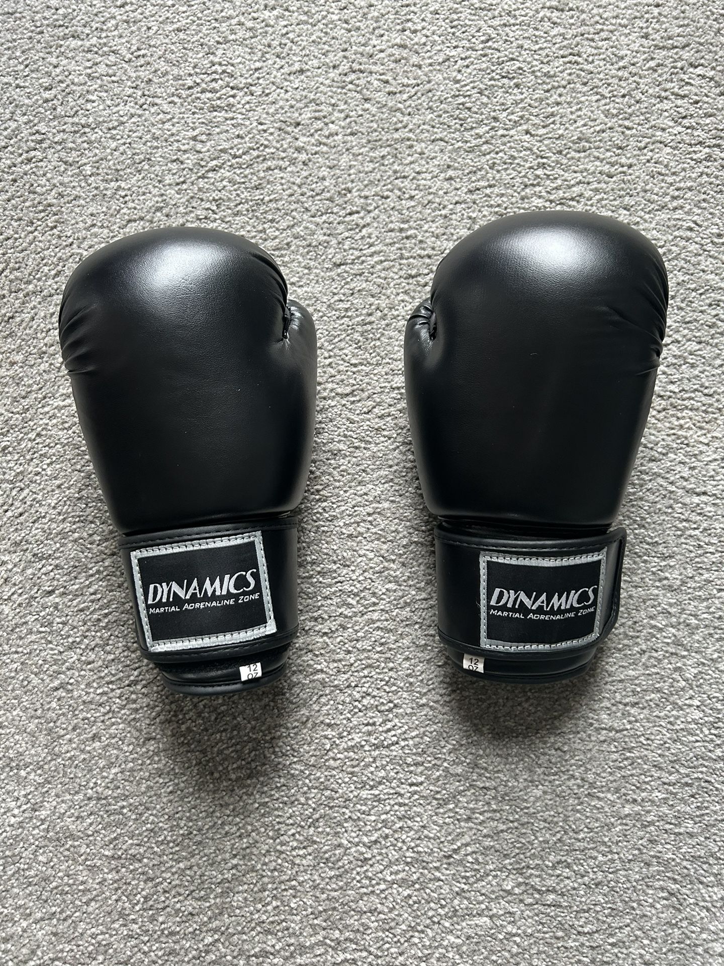 Dynamics Boxing Gloves 