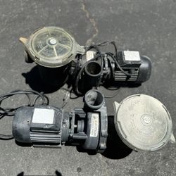Pool Pumps