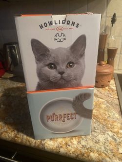 Cat Bowl And Human Mug Set 