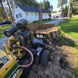 Stump Removal Made EASY 
