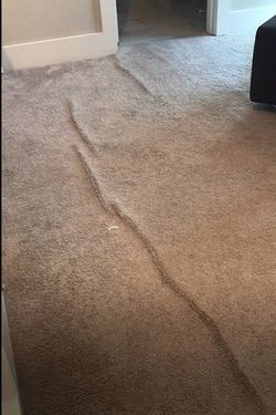 Damage carpet