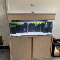 75 gallon top acrylic aquarium