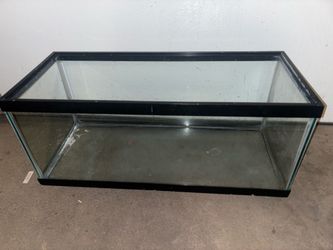 Fish tank