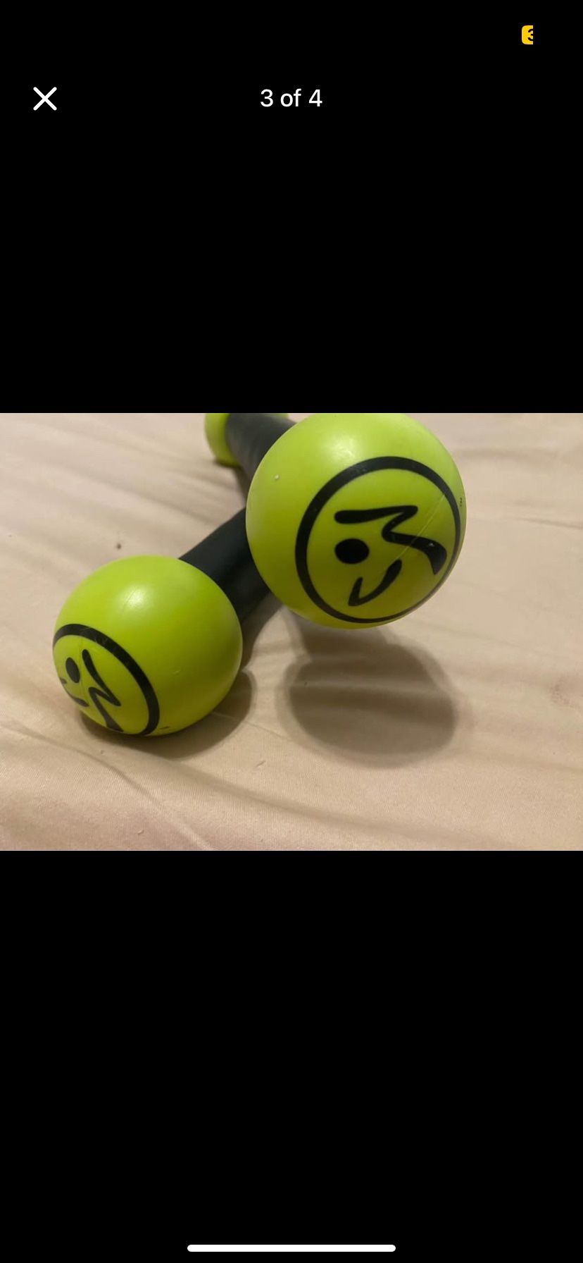 Zumba Shake Weights