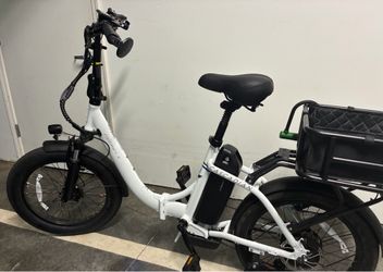 NEW Ebike Cargo