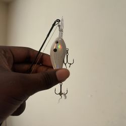 Quantum Octane Baitcaster