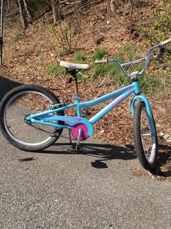 20 Inch Bike