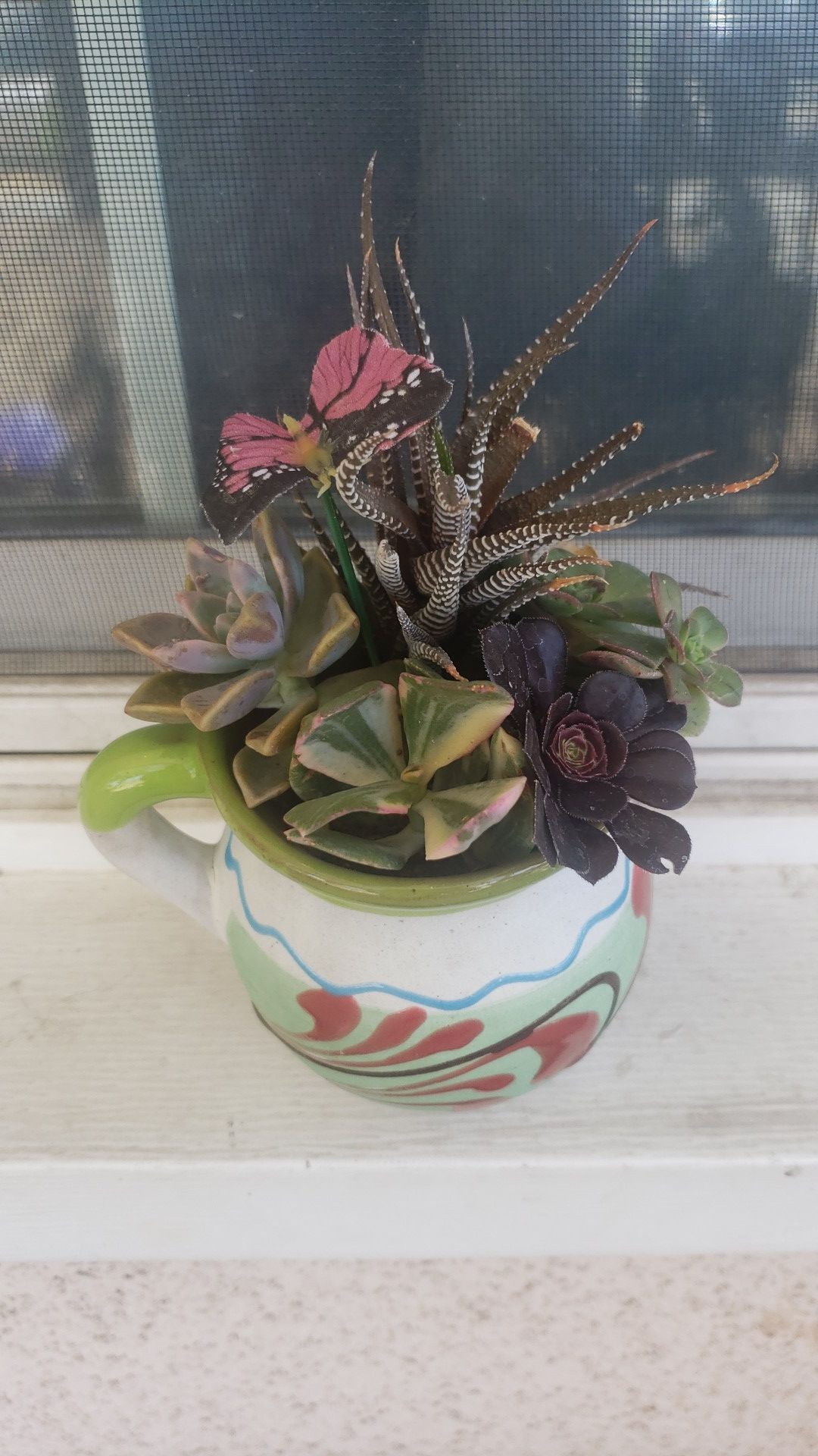 Plantas