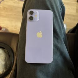 Purple iPhone 12 Mini Unlocked 
