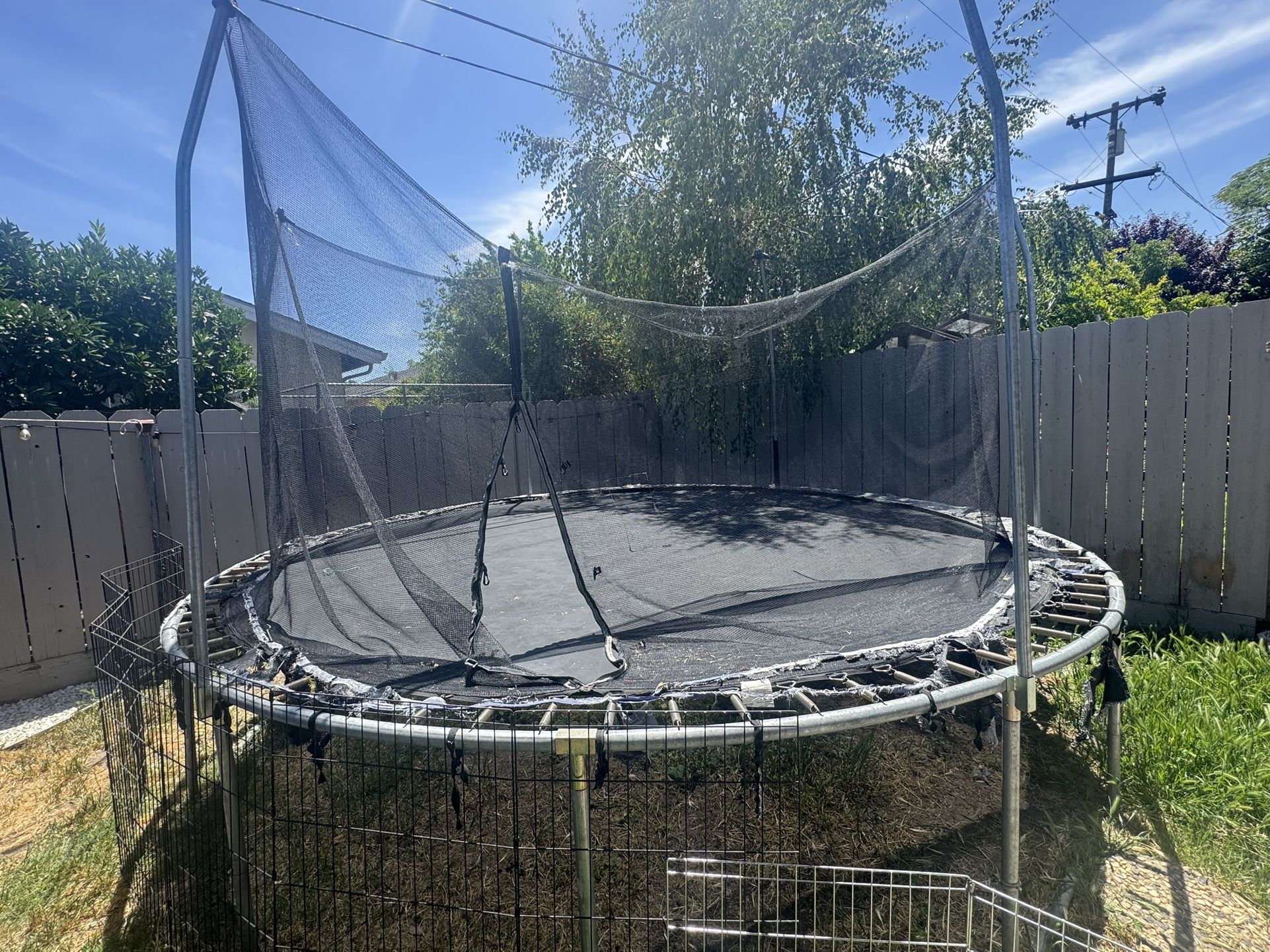 Trampoline