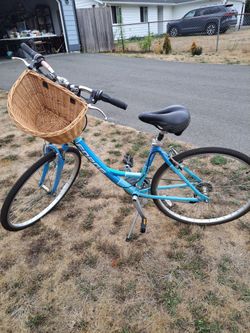 Adult Bike