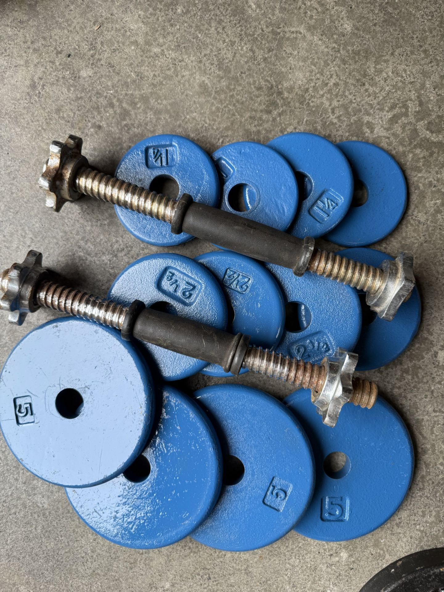 Dumbbells Weights