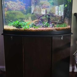 Fish Tank