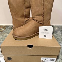 UGG women talk classic tall  chestnut 