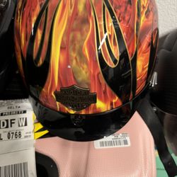 Harley Gear And Back-Rest/Rack, Rain Gear
