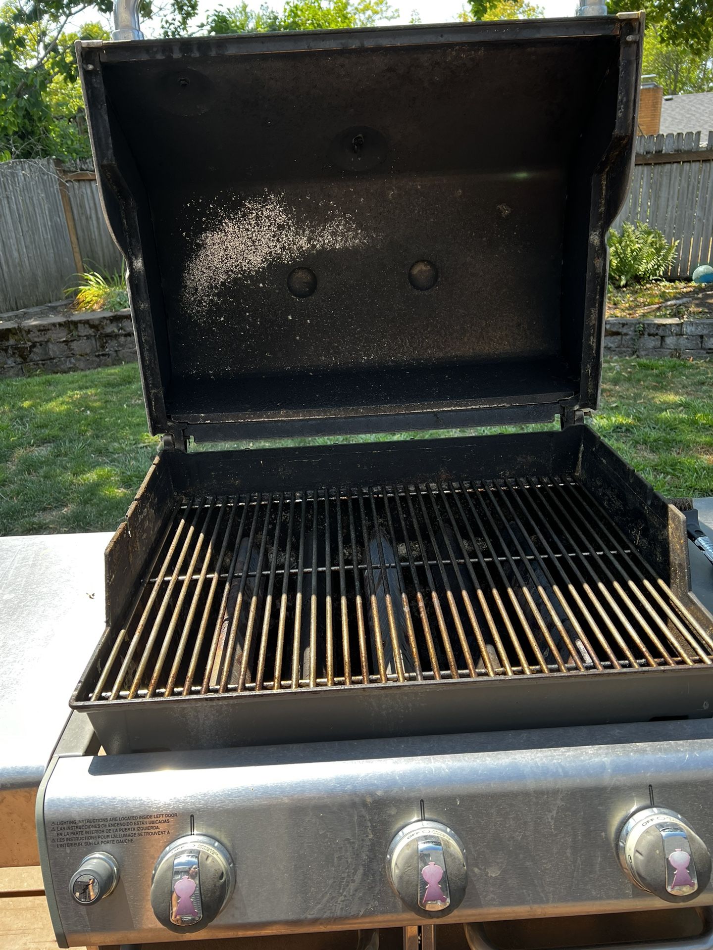 Bbq