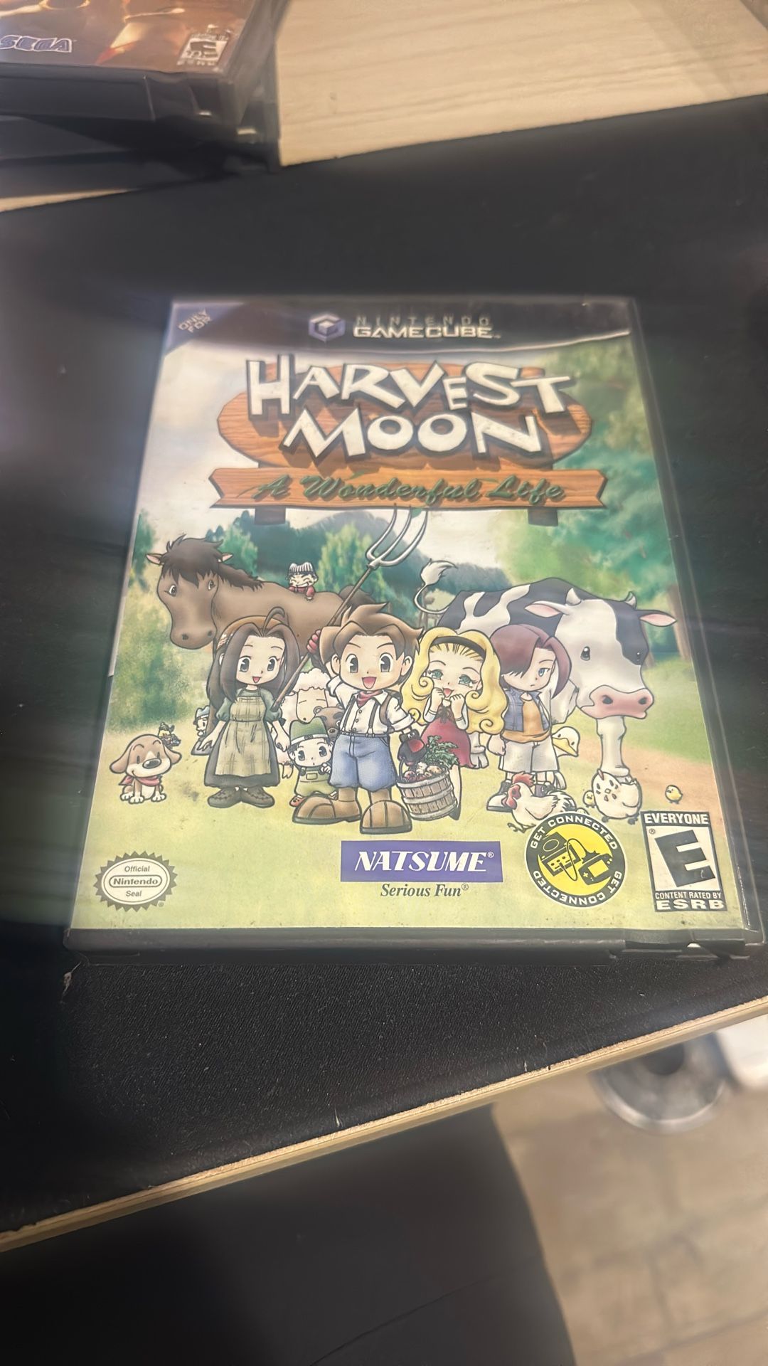 Harvest Moon A Wonderful Life Gamecube
