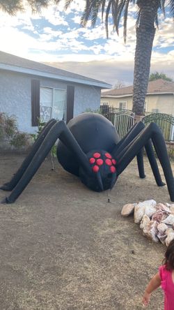 Araña