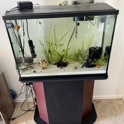 29 Gallon Tank/Stand With Fluval HOB Filter
