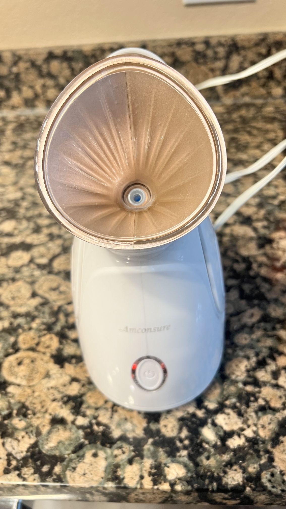 Face steamer