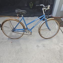Schwinn bicycle