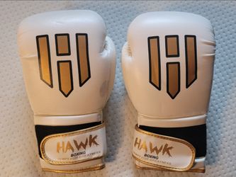 Hawk White Boxing Gloves