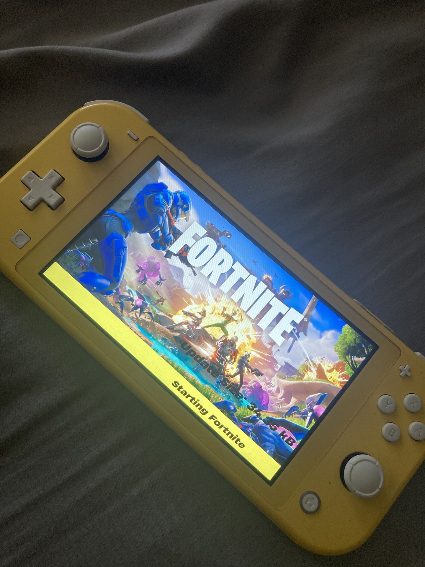 Nintendo Switch Lite