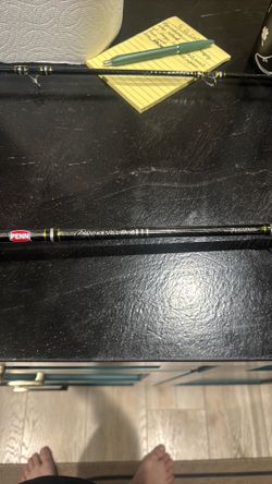 Penn carnage 3 jigging rod CARJGIII80200C58