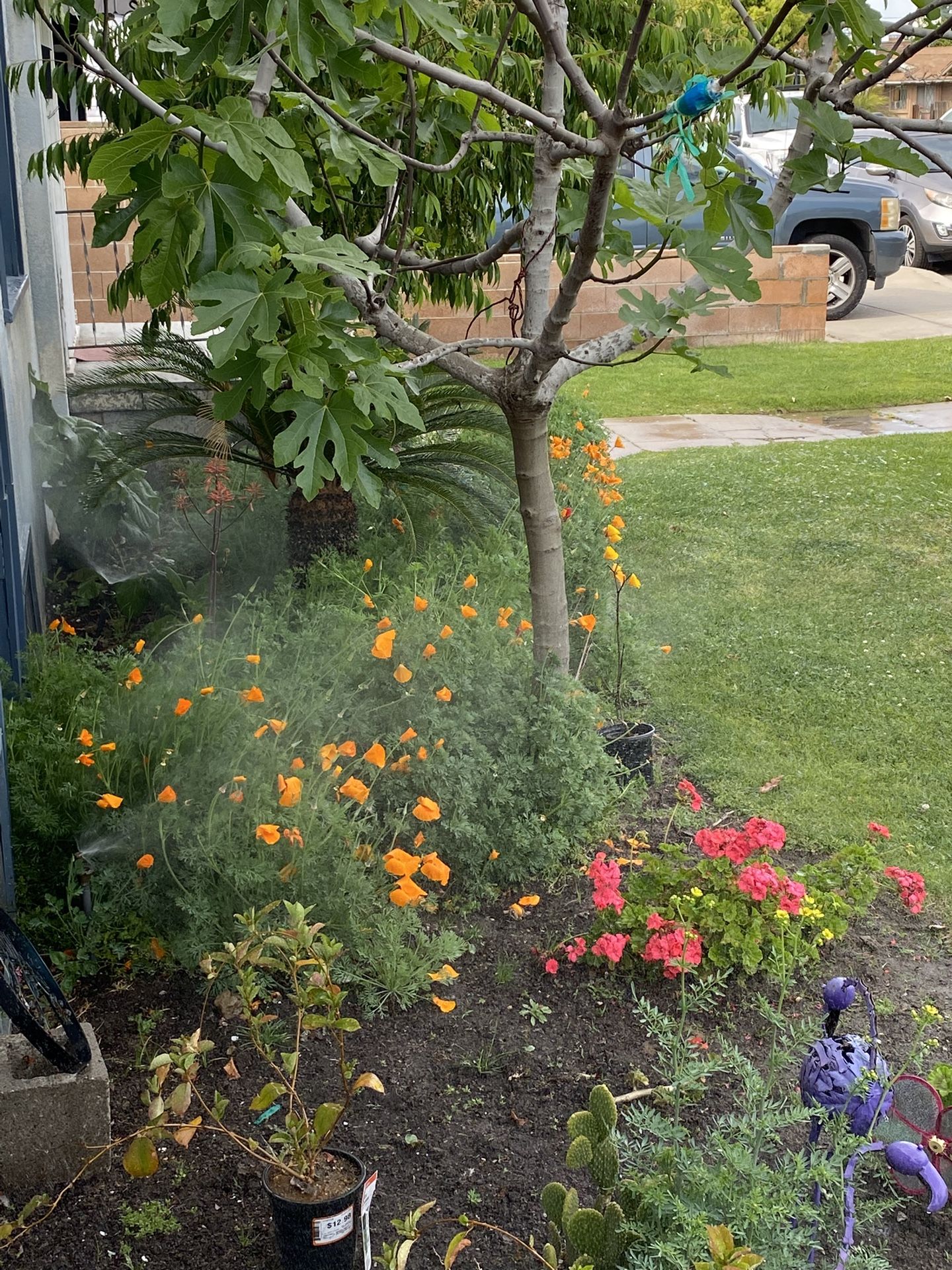 Sprinklers