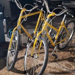 2 Bridgestone Sirius Vintage Bikes 