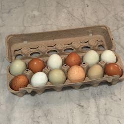  Farm Fresh Backyard Eggs – Available Now 🐓