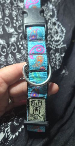 Dog Collars (Small - Medium)