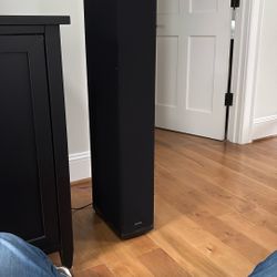 Definitive Technology Floor Speakers (2)