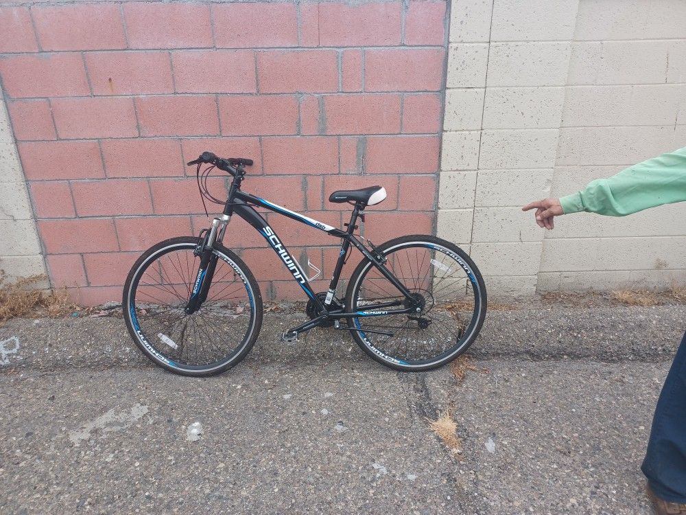 Schwinn Dual Sport Bike
