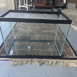 20 Gallon Fish Tank