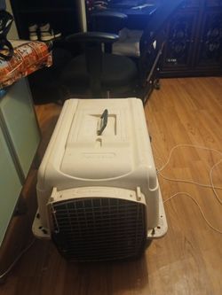 Dog cage 28" X 21" X 22"