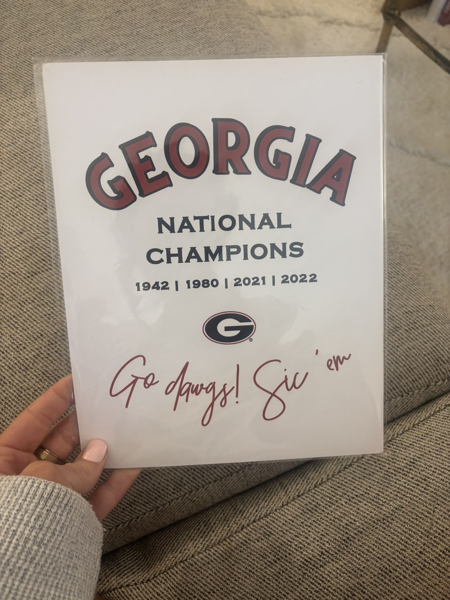 Georgia National Champions Print
