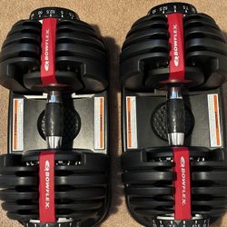 Bowflex SelectTech 552 Adjustable Dumbbells 💪 