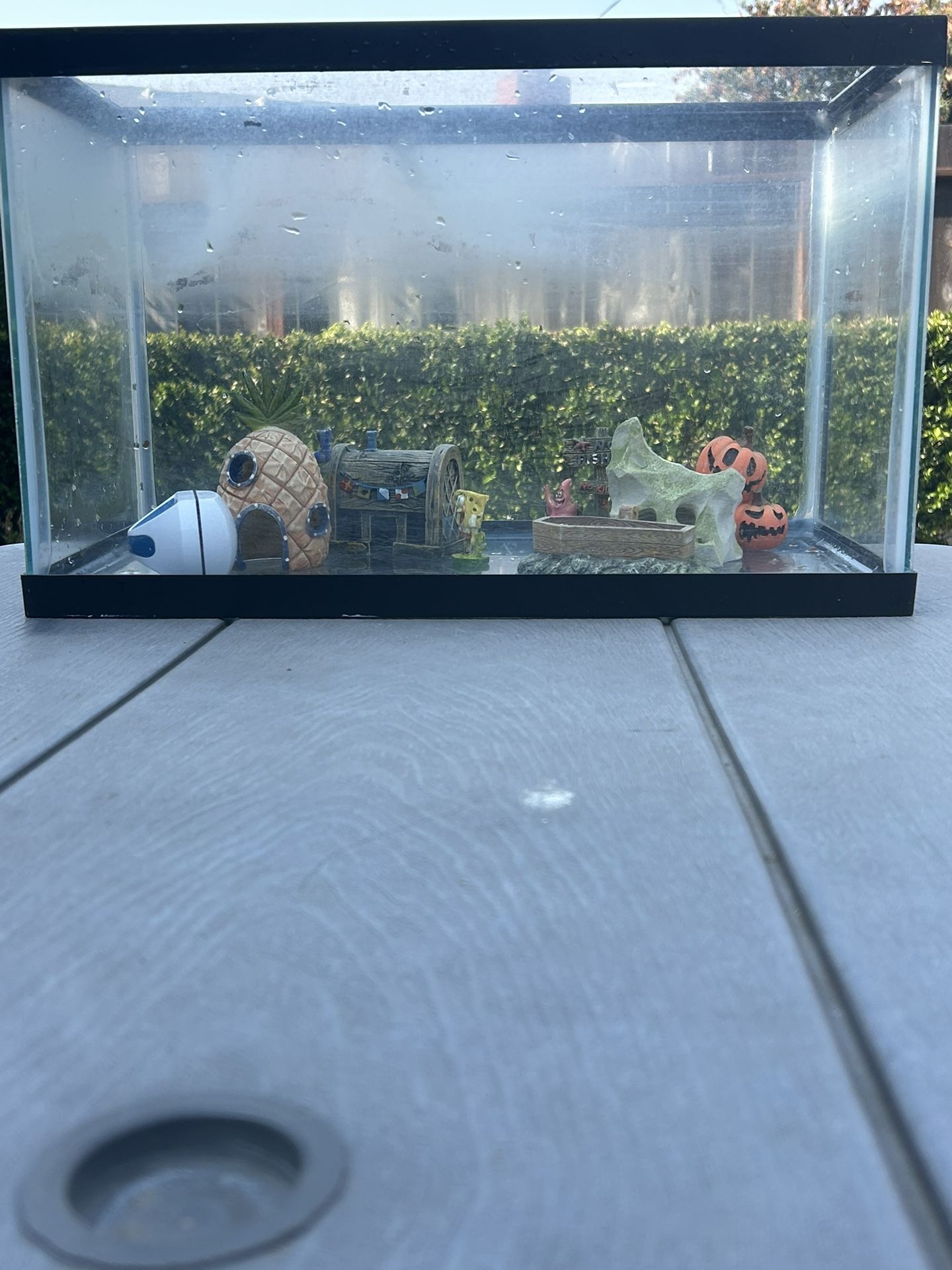 Fish Tank With Decorations